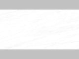 24-inch x 48-inch Dolomite Polished Rectified Porcelain Floor and Wall Tile