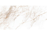 24-inch x 48-inch Calacatta Gold Polished Rectified Porcelain Floor and Wall Tile