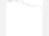 12''x24'' - 24''x48'' - 40''x40'' Stataurio Polished Rectified Marble Look Porcelain Floor and Wall Tile