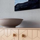 1'' GREY MATT HEXAGONAL PORCELAIN MOSAIC - SAPPHIRUSSTONE