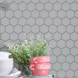 1'' GREY MATT HEXAGONAL PORCELAIN MOSAIC - SAPPHIRUSSTONE